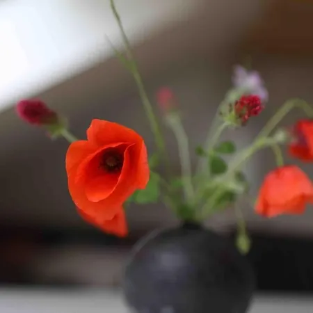 Pegnitz Apartement Apartment Pegnitz