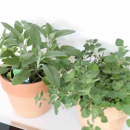 Apartment Pegnitz Apartement