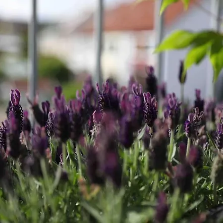 Pegnitz Apartement Apartment Pegnitz